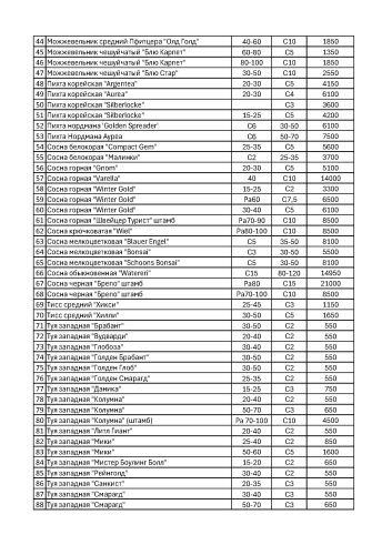 Хвойные в контейнерах