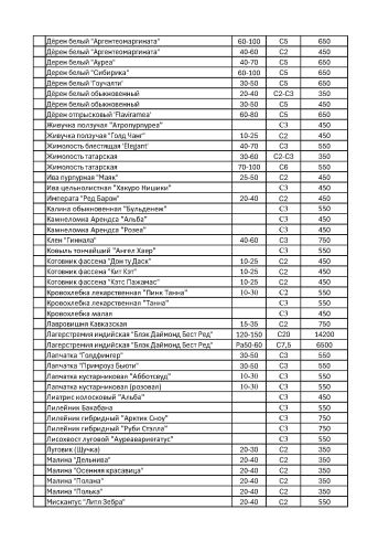 Кустарники в контейнерах