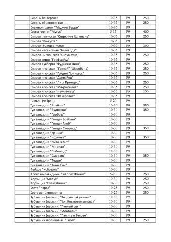 Саженцы в горшках 0,5 л