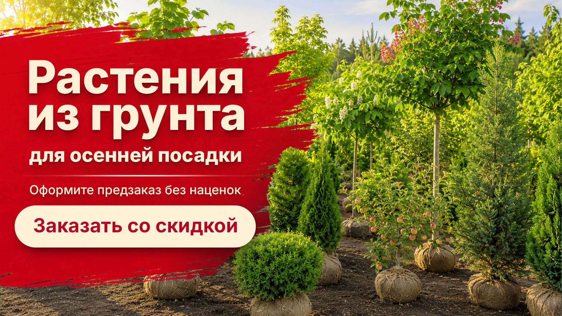 Закажите растения из грунта для осенней посадки